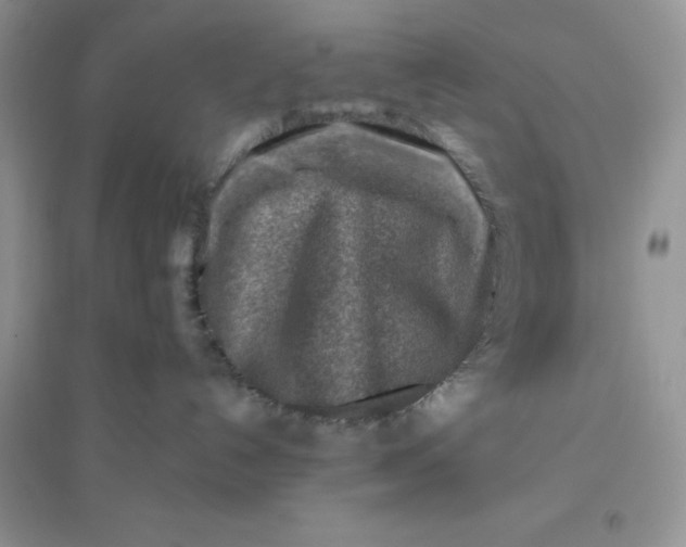 X0000096190192200802011415