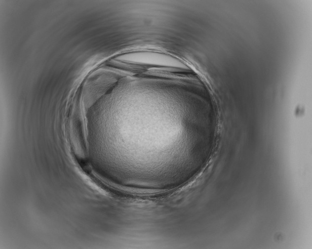 X0000096190193200802011414