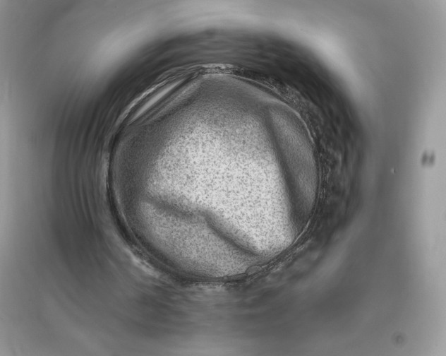 X0000096190194200802011414