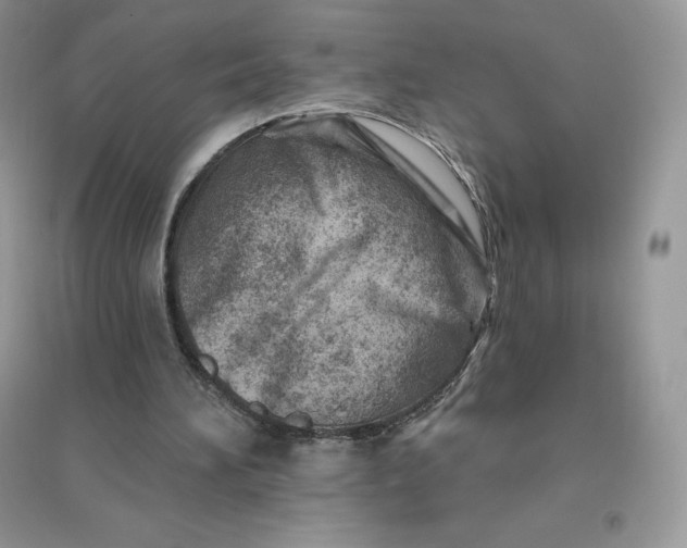 X0000096190196200802011414