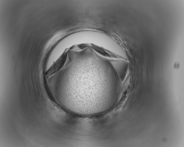 X0000096190197200802011414