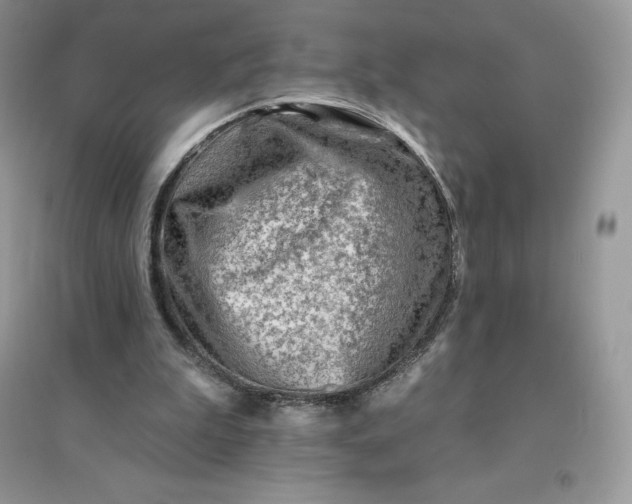 X0000096190199200802011414