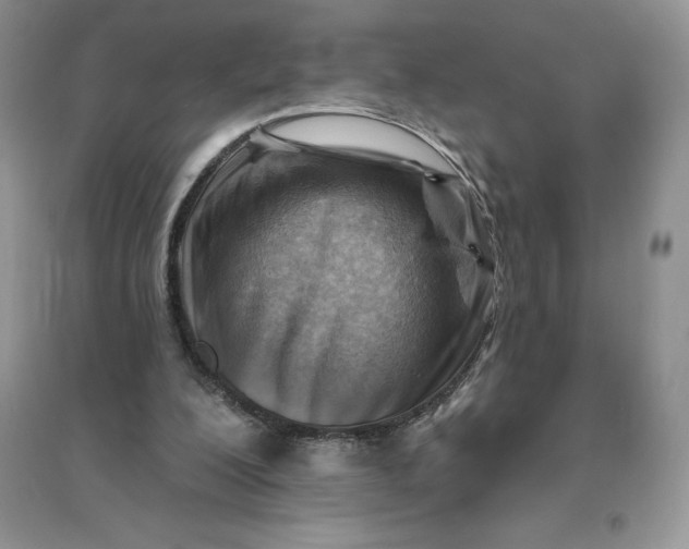 X0000096190200200802011414