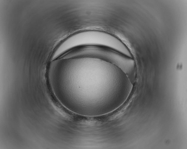 X0000096190201200802011414