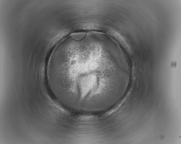 X0000096190202200802011414