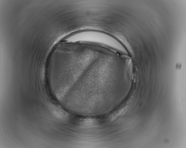 X0000096190204200802011414