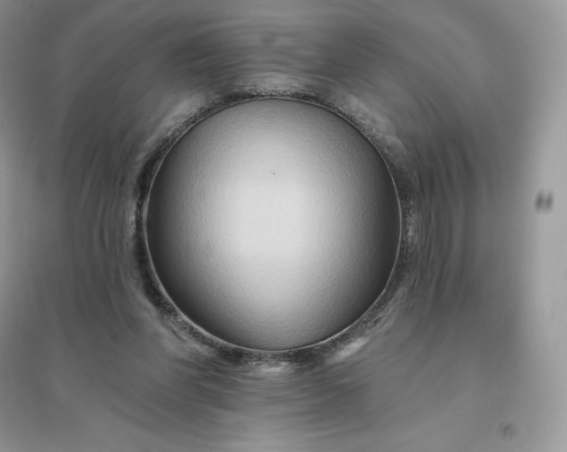 X0000096190206200802011414