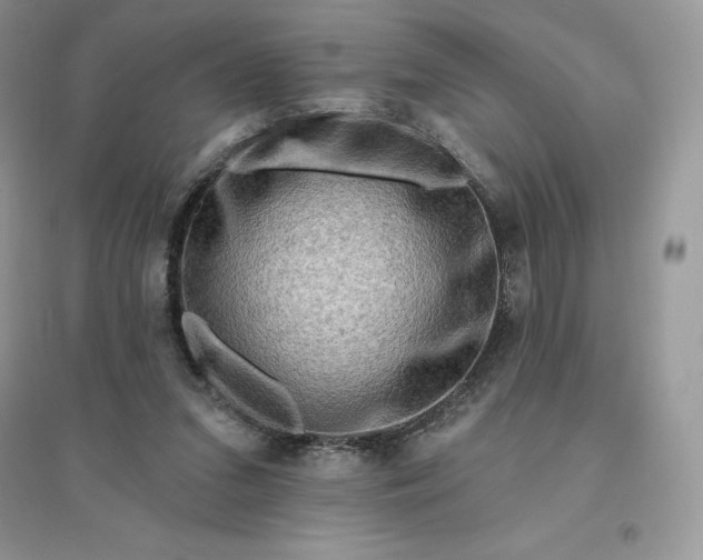 X0000096190207200802011414