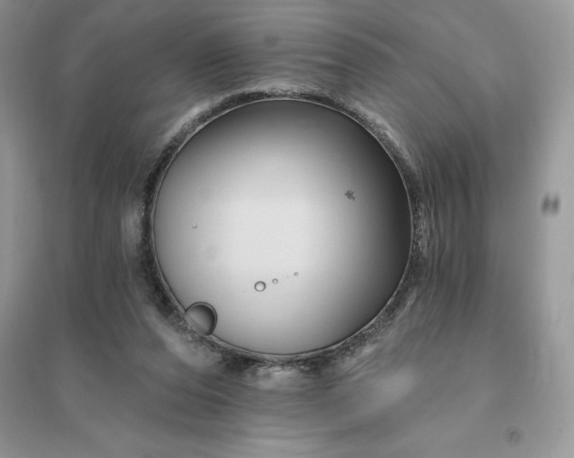 X0000096190208200802011414