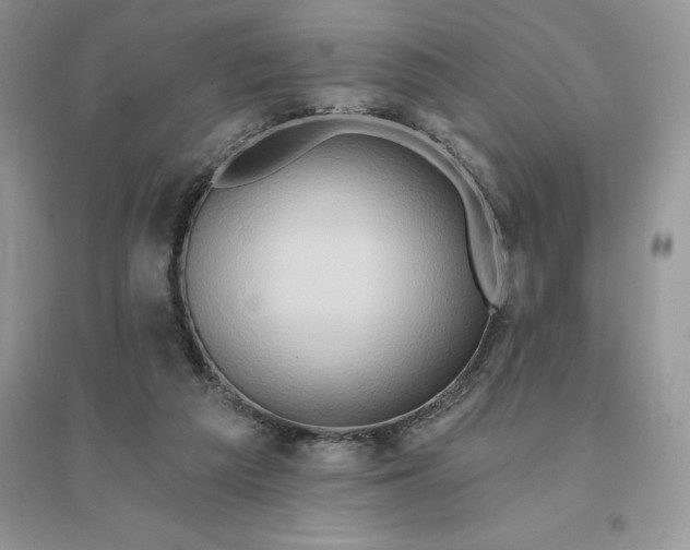 X0000096190209200802011414