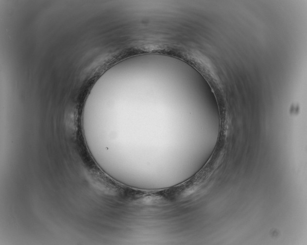 X0000096190210200802011414