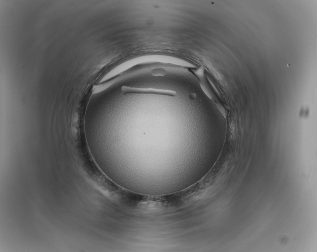 X0000096190211200802011414