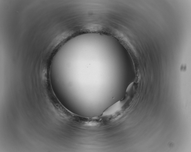 X0000096190212200802011414