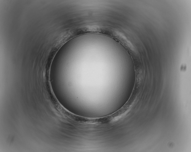 X0000096190213200802011414