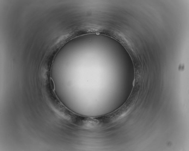 X0000096190215200802011414