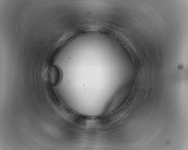 X0000096190216200802011414