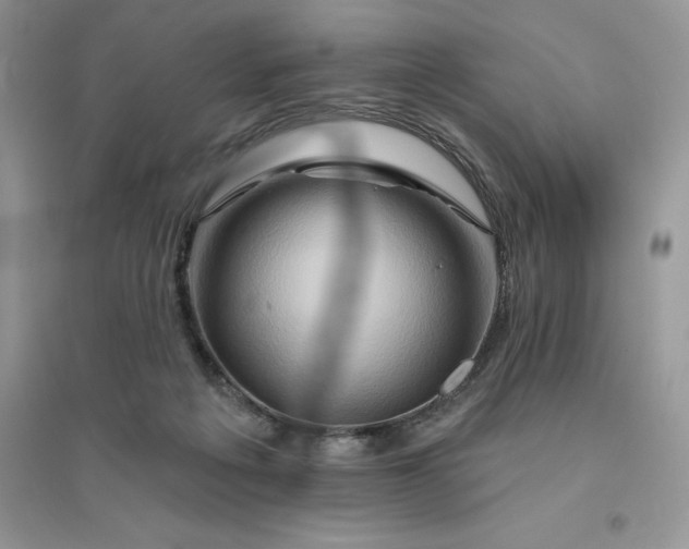 X0000096190217200802011414