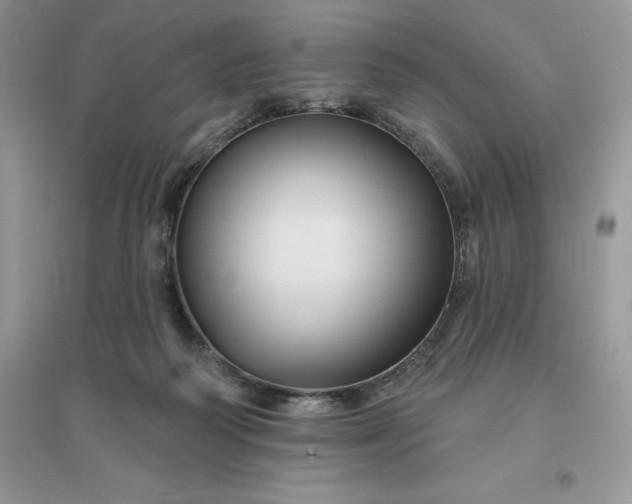 X0000096190218200802011414