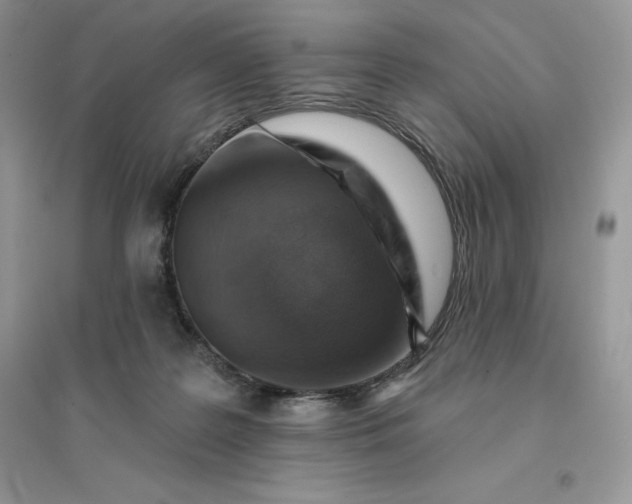 X0000096190219200802011414