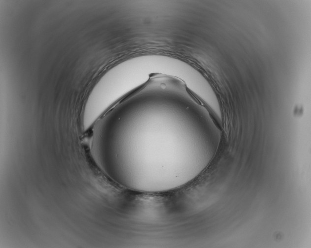 X0000096190221200802011414