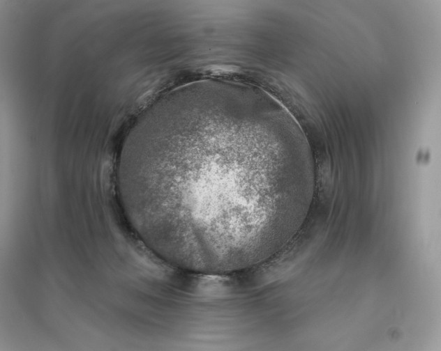 X0000096190222200802011414