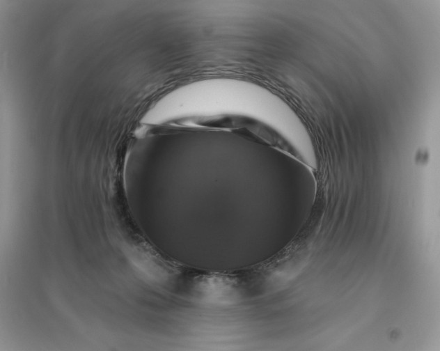 X0000096190223200802011414