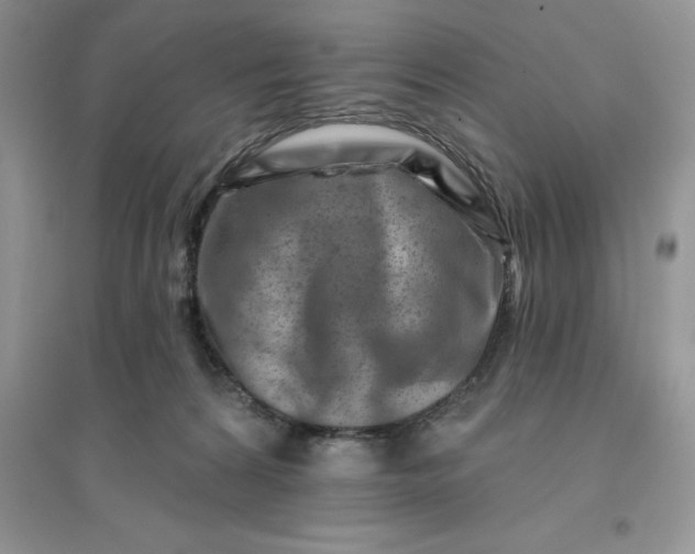 X0000096190224200802011414