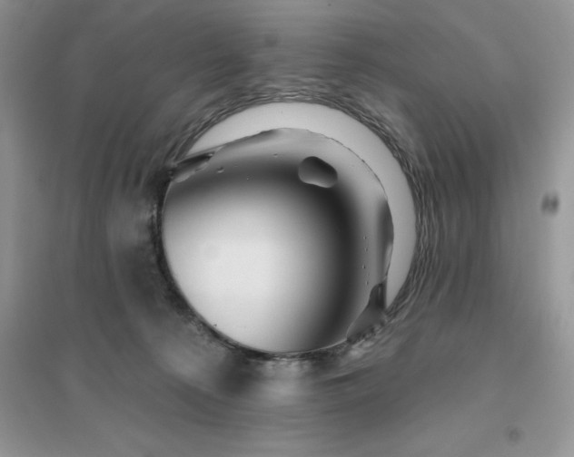 X0000096190225200802011414