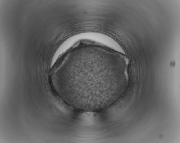 X0000096190227200802011414