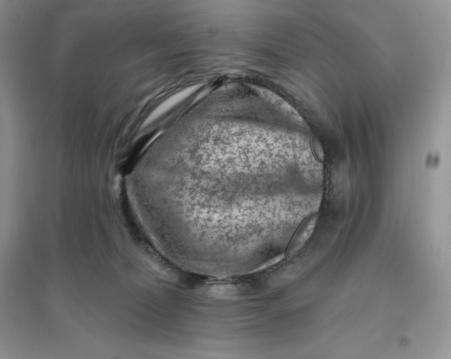 X0000096190228200802011414