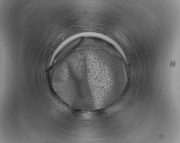 X0000096190229200802011414