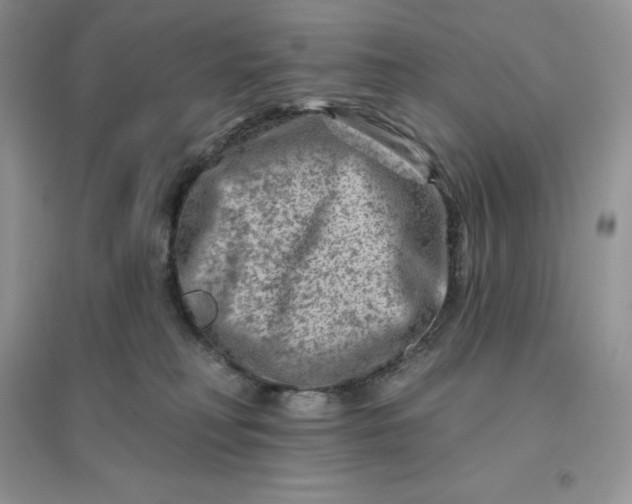 X0000096190230200802011414