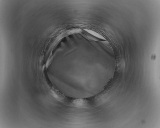 X0000096190231200802011414