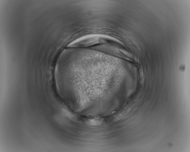 X0000096190232200802011414