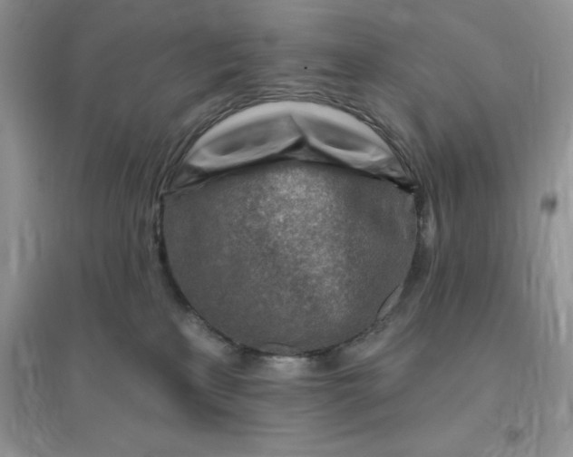 X0000096190233200802011414