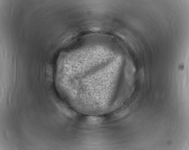 X0000096190234200802011414