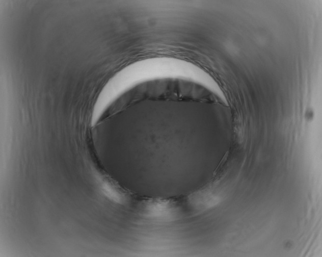 X0000096190235200802011414