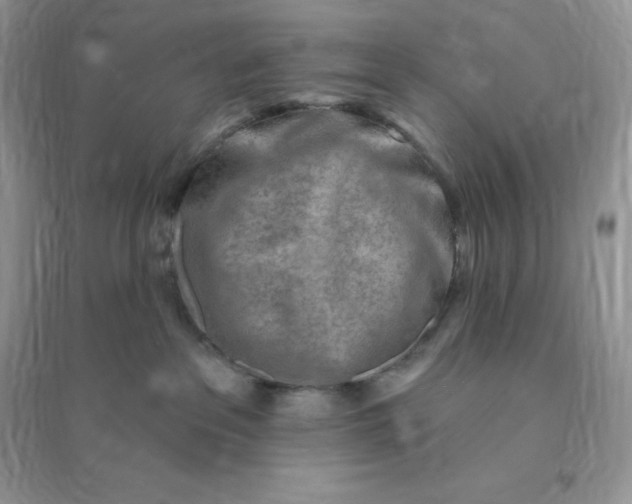 X0000096190237200802011414