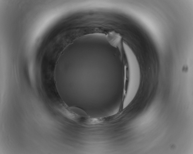 X0000096190239200802011414