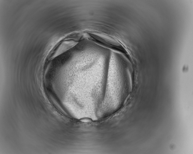 X0000096190241200802011413