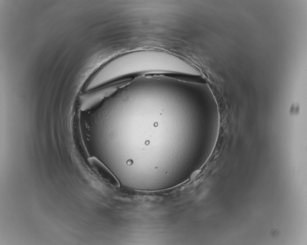 X0000096190242200802011413