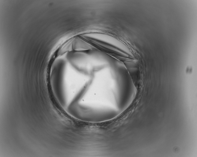 X0000096190244200802011413