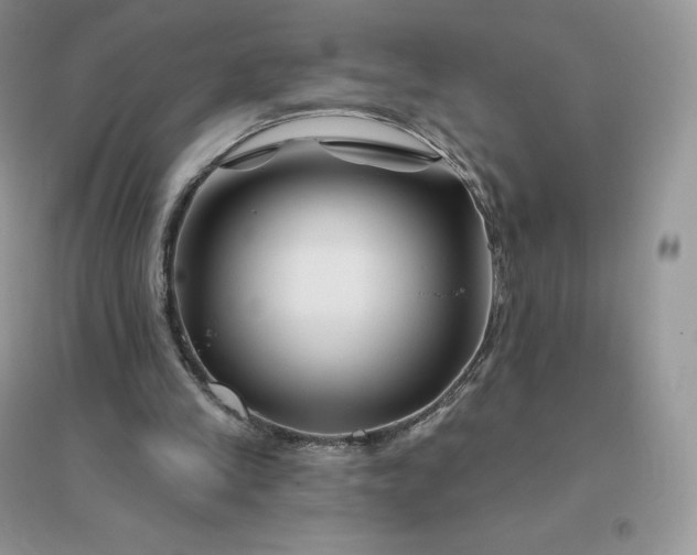 X0000096190245200802011413