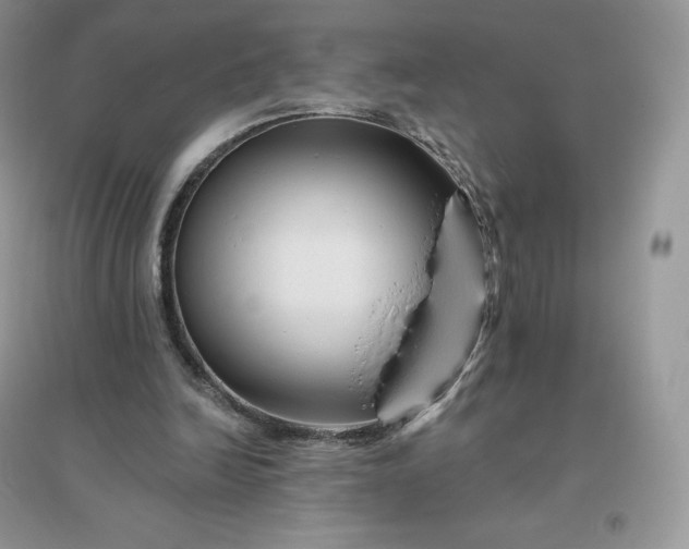 X0000096190246200802011413