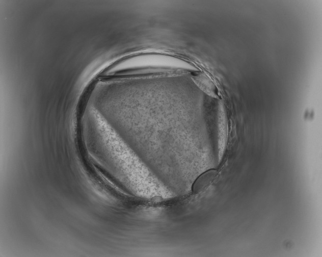 X0000096190247200802011413