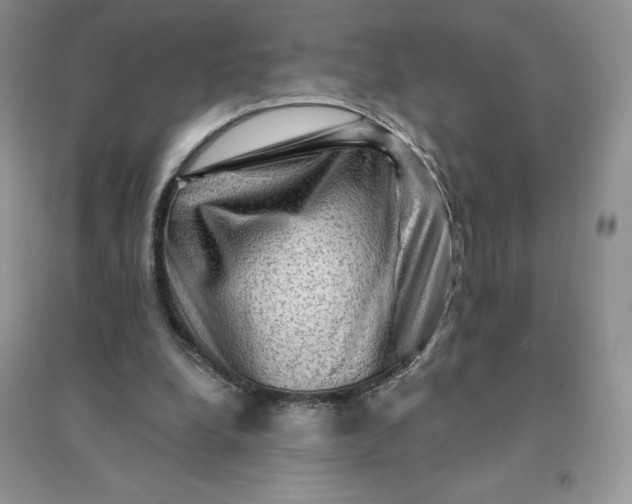 X0000096190248200802011413