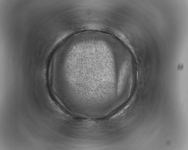 X0000096190249200802011413