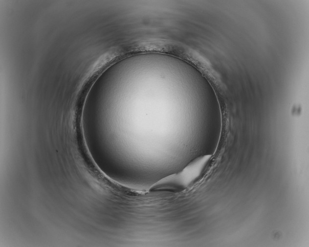 X0000096190250200802011413