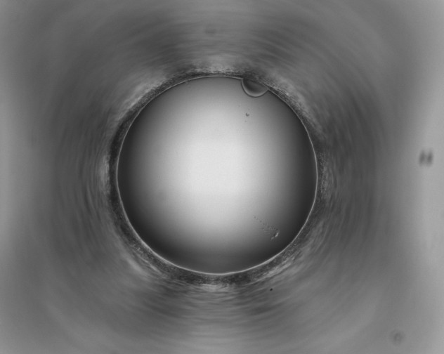 X0000096190251200802011413