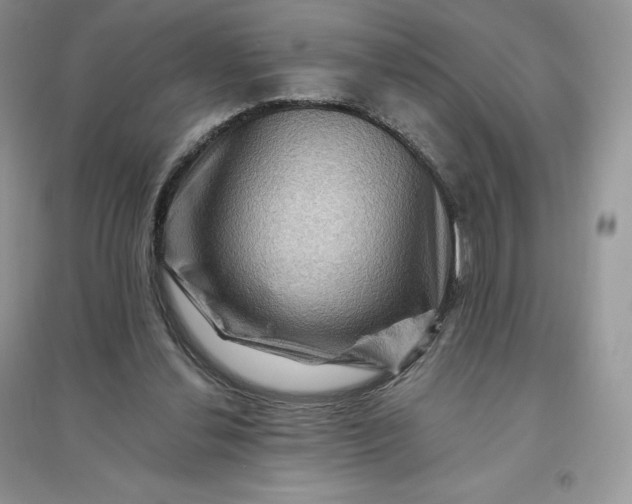 X0000096190252200802011413